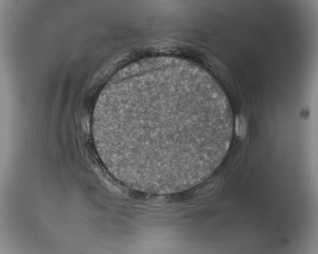 X0000112951155200910051212