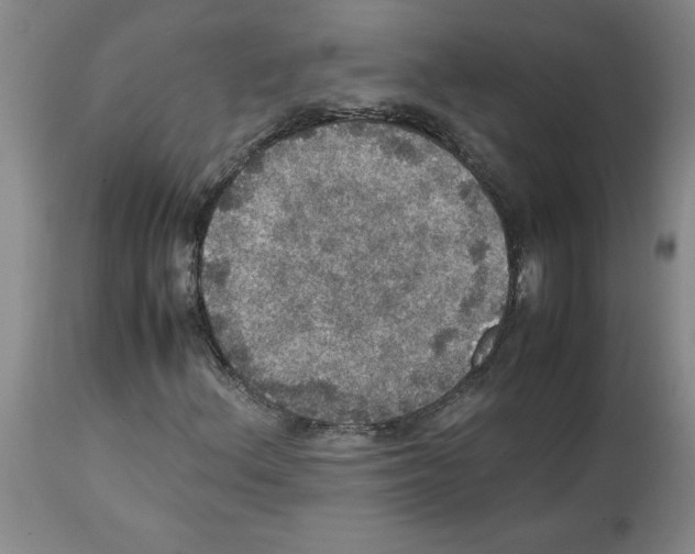 X0000112951156200910051212