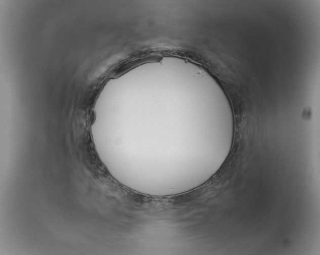 X0000112951157200910051212