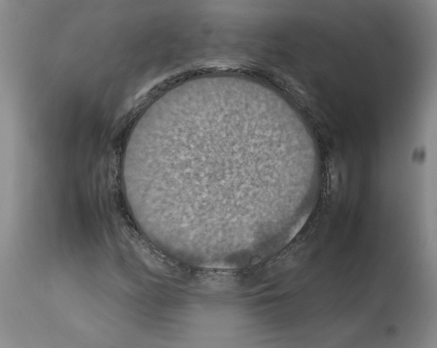 X0000112951158200910051212