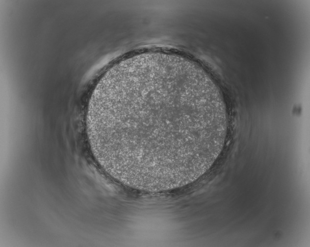 X0000112951159200910051212