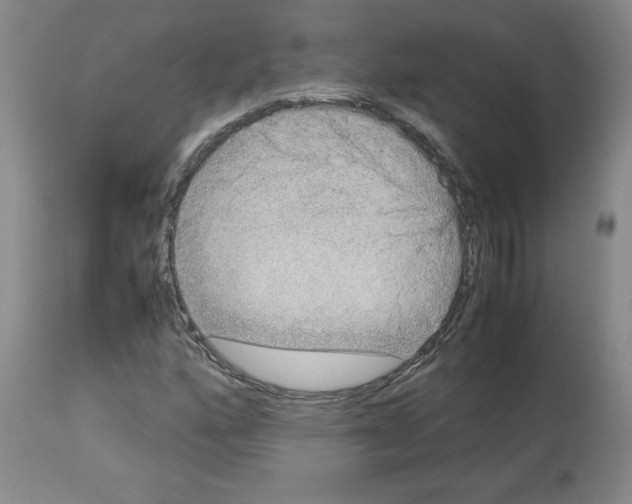 X0000112951160200910051212