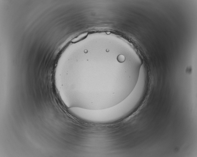 X0000112951162200910051212