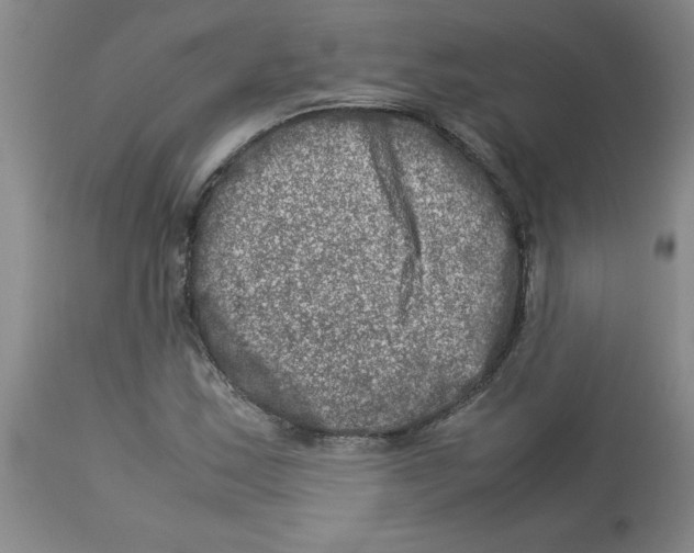 X0000112951163200910051212