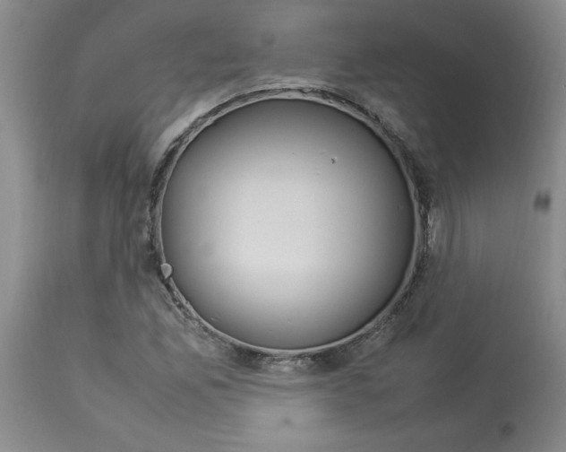 X0000112951165200910051212