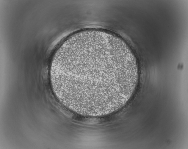 X0000112951167200910051212
