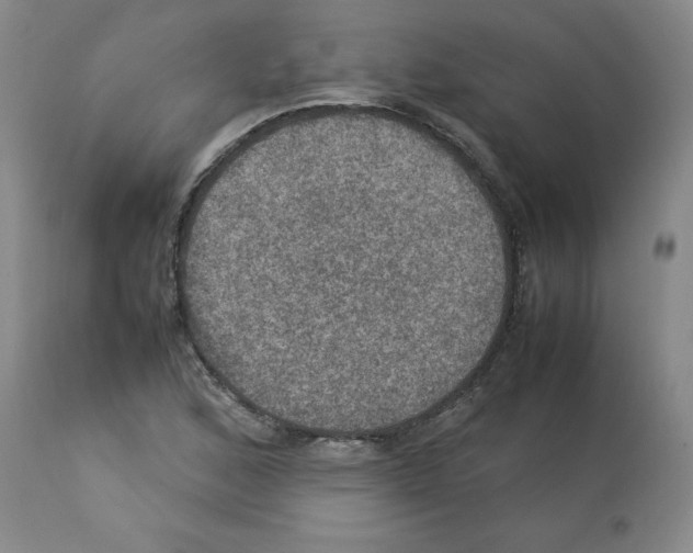 X0000112951168200910051212