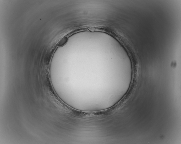 X0000112951169200910051212