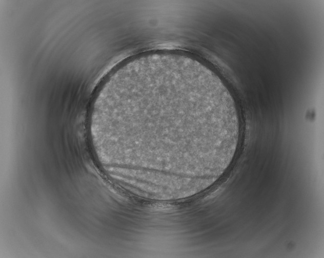 X0000112951170200910051212