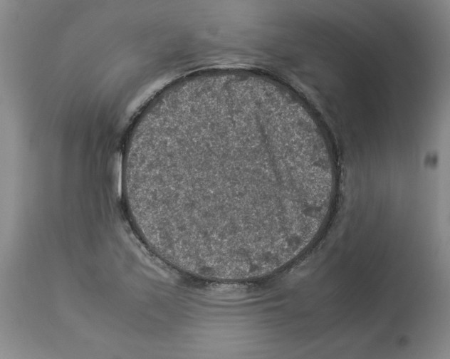 X0000112951171200910051212
