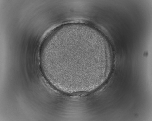 X0000112951172200910051212