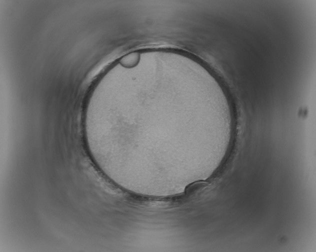 X0000112951173200910051212