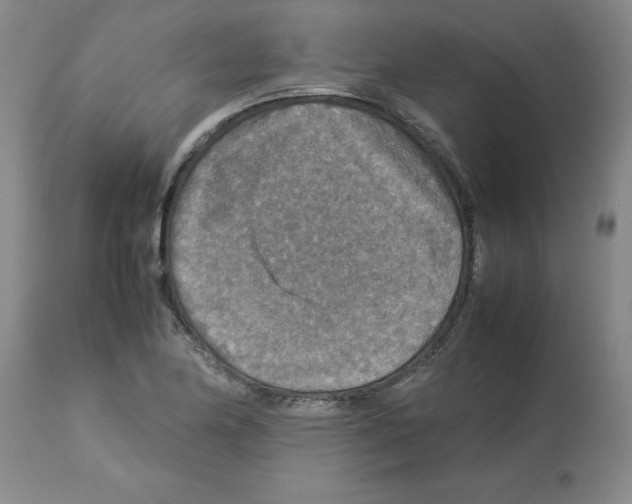 X0000112951174200910051212