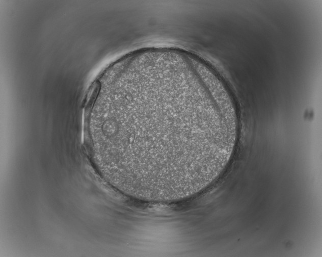 X0000112951175200910051212