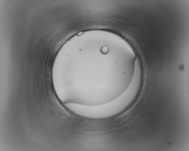 X0000112951177200910051212