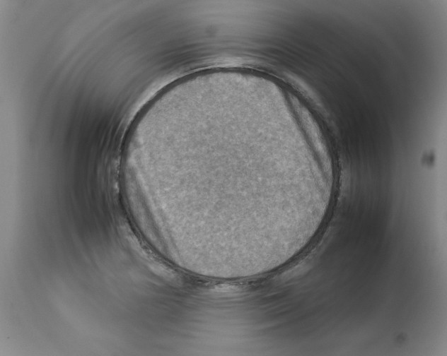 X0000112951178200910051212