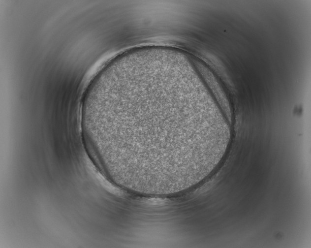 X0000112951180200910051212