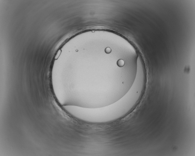 X0000112951181200910051212