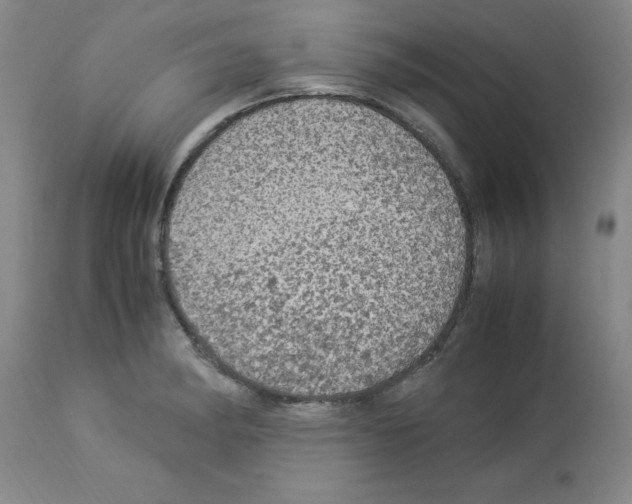 X0000112951182200910051212