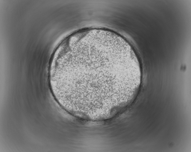 X0000112951183200910051212