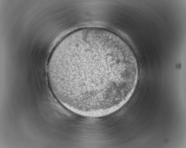 X0000112951184200910051212
