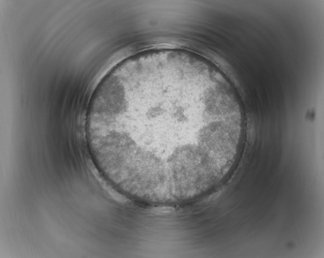 X0000112951186200910051212