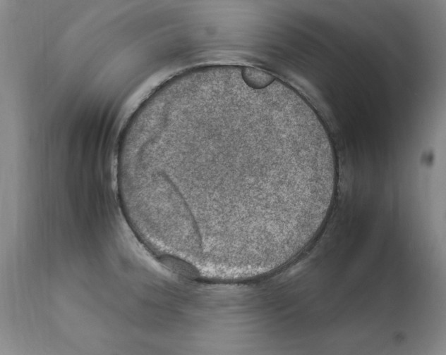 X0000112951188200910051211