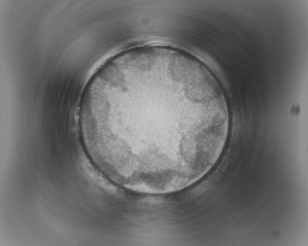 X0000112951190200910051211