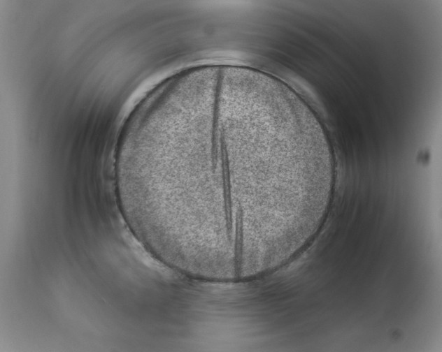 X0000112951192200910051211