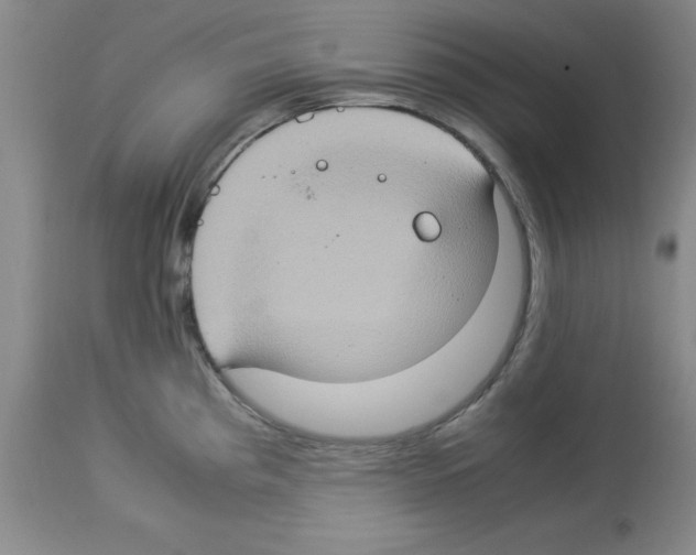 X0000112951193200910051211