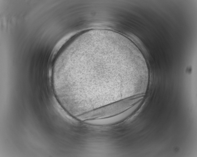 X0000112951196200910051211