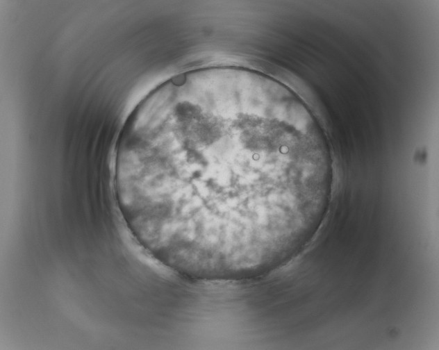 X0000112951198200910051211