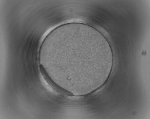 X0000112951200200910051211