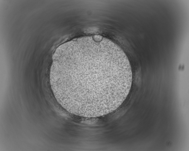 X0000112951201200910051211