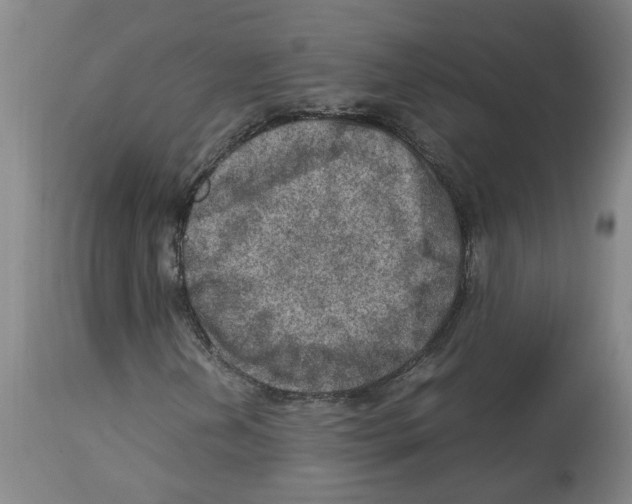 X0000112951202200910051211