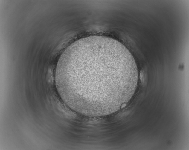 X0000112951203200910051211