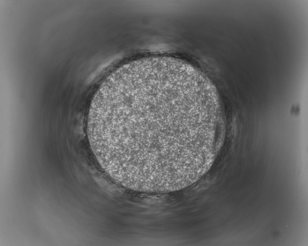 X0000112951205200910051211