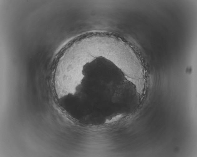 X0000112951208200910051211
