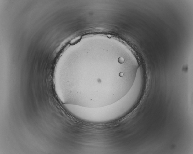 X0000112951210200910051211