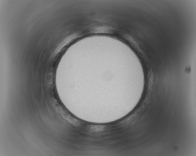 X0000112951211200910051211