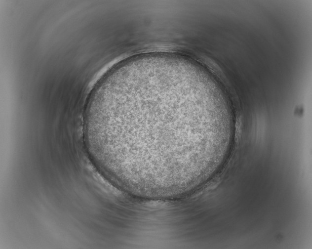 X0000112951212200910051211