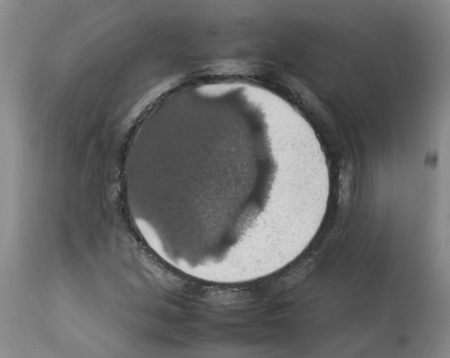 X0000112951213200910051211