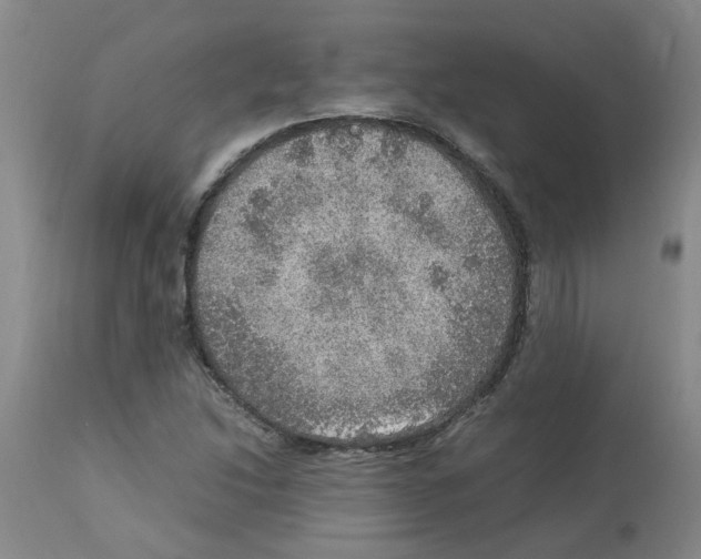 X0000112951214200910051211