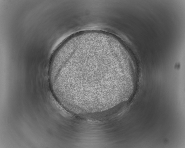 X0000112951216200910051211