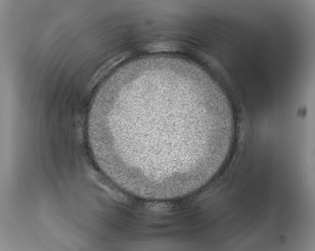 X0000112951217200910051211