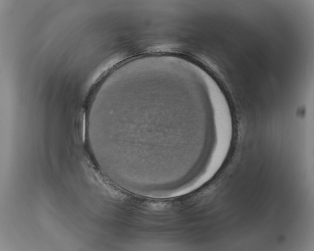 X0000112951219200910051211