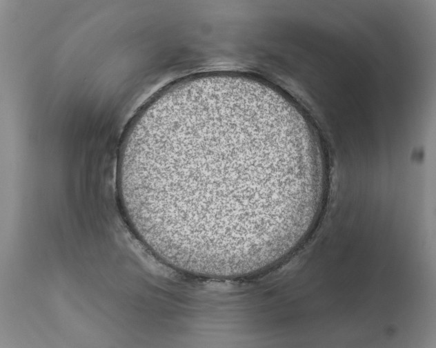 X0000112951220200910051211