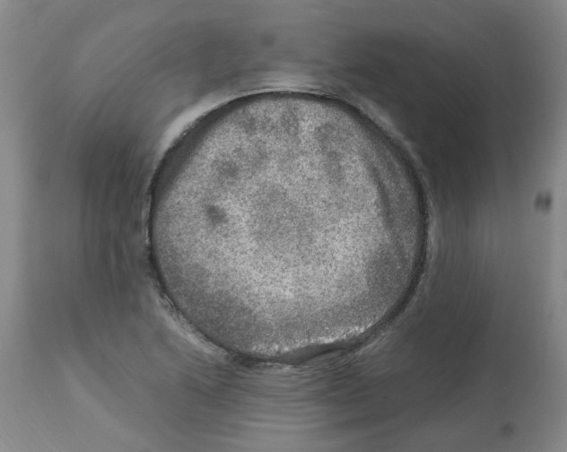 X0000112951222200910051211