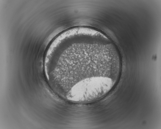 X0000112951226200910051211
