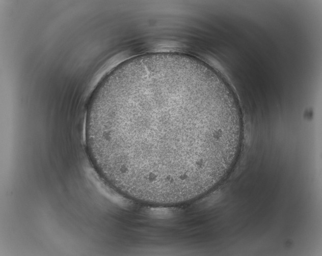 X0000112951227200910051211
